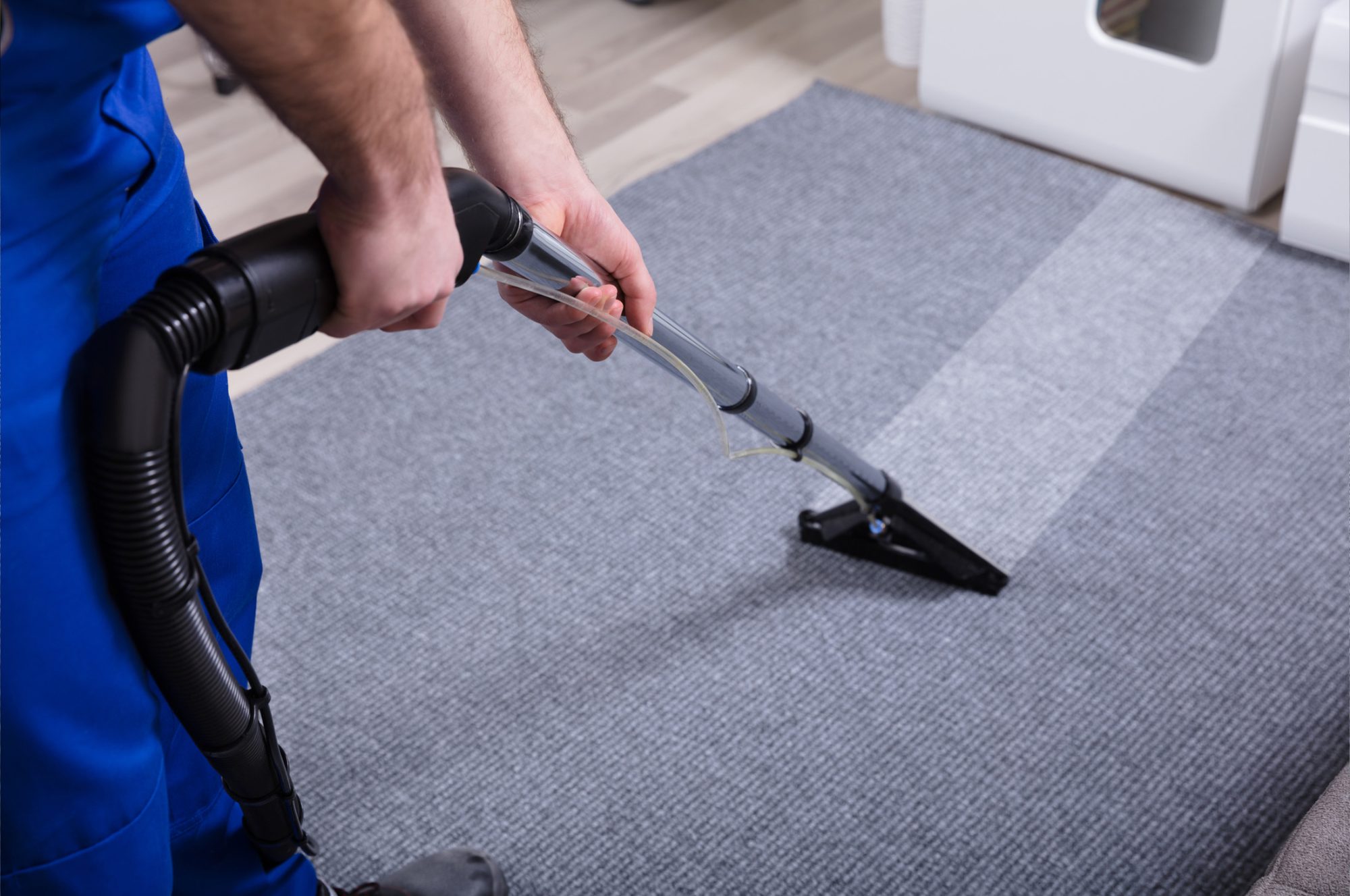 carpet cleaning county down
